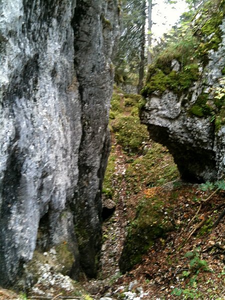 IMG_0139.jpg - Schlucht kurz vor dem Col de la Faucille.