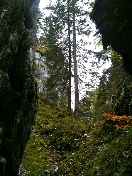 IMG_0140.jpg - Schlucht