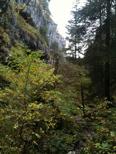 IMG_0146.jpg - Canyon