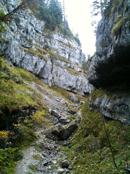 IMG_0147.jpg - Canyon