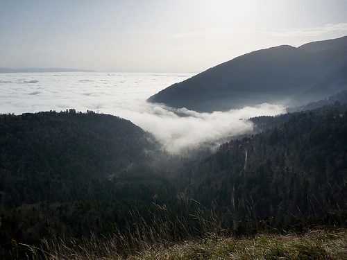 faucille_nebel.jpg - Nach 5 Tagen Herbstsonne tauchen wir am Col de la Faucille in die Nebelsuppe ein (Wegen technischen Problemen gibt es leider kein Originalbild vom Abschluss der Tour).