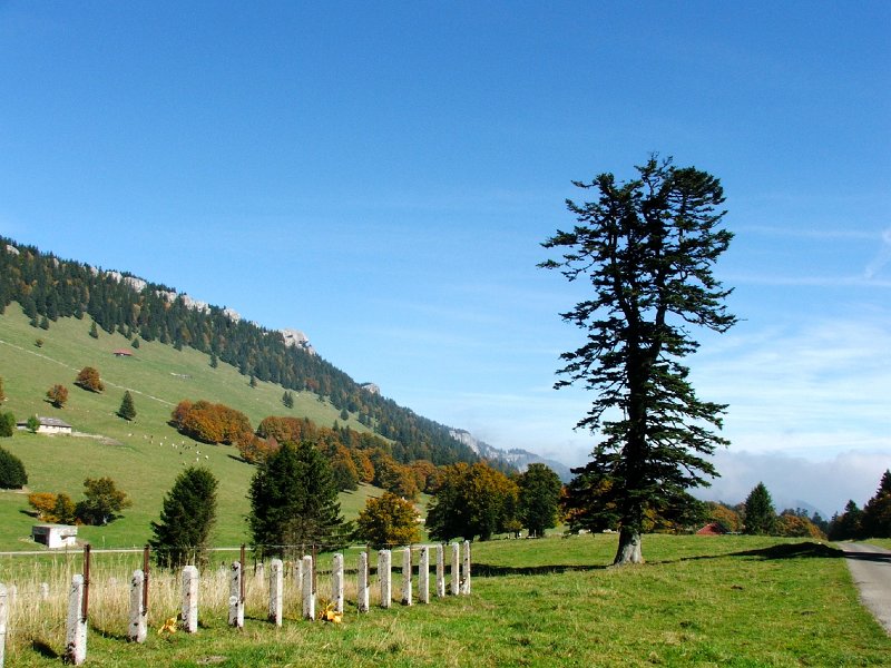 DSCF4705.jpg - Aiguilles de Baulmes