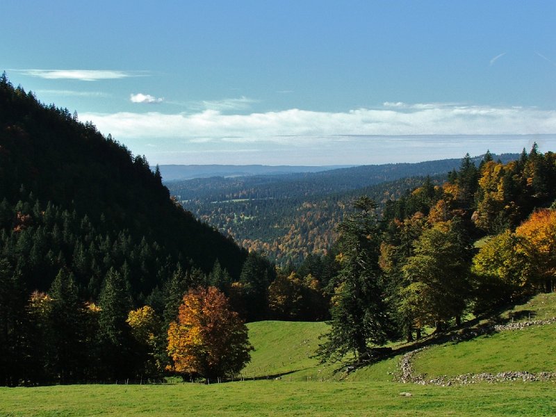 DSCF4723.jpg - Blick Richtung Jougne (F)