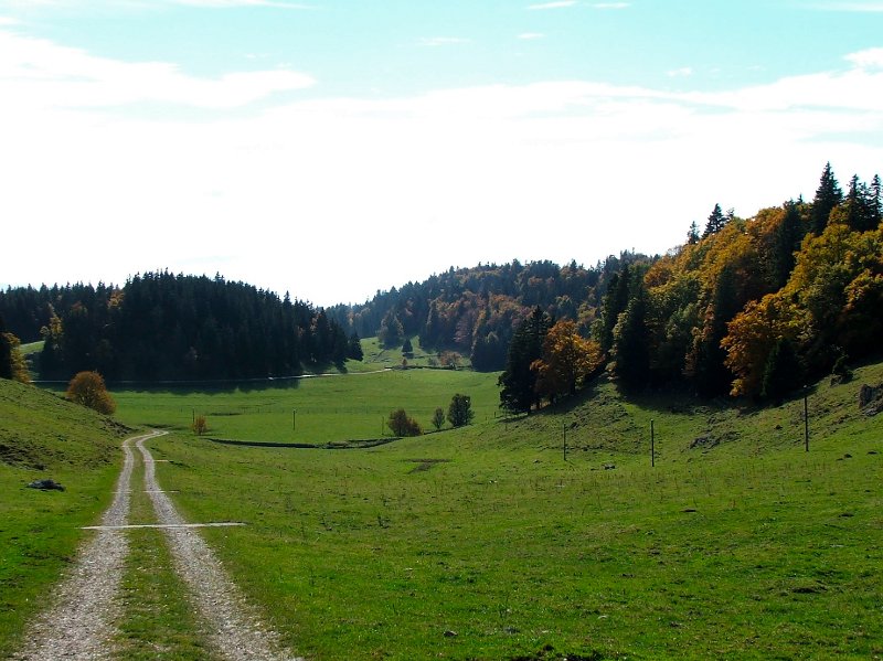 DSCF4729.jpg - La Sagne: Blick Richtung La Poyette (am Fusse des Suchet)