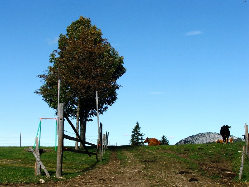 DSCF4731.jpg - La Sagne