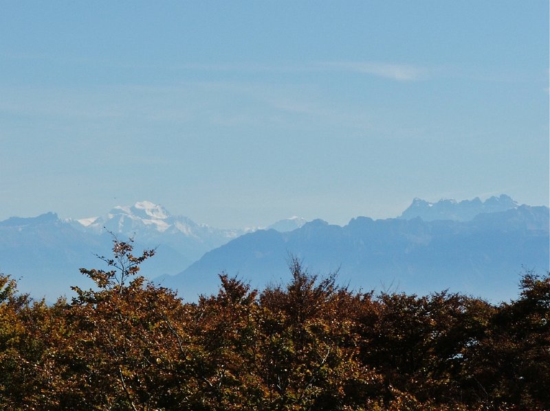 DSCF4734.jpg - La Poyette: Grand-Combin und Dents-du-Midi