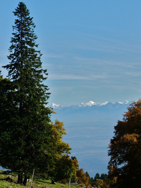 DSCF4735.jpg - Alpenblick von La Poyette aus