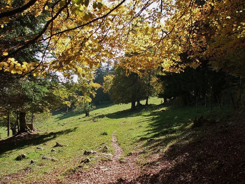 DSCF4738.jpg - Abstieg hinunter nach Ballaigues
