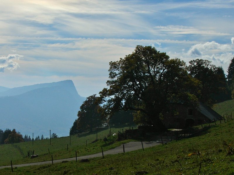 DSCF4741.jpg - Dent de Vaulion; Hof "La Languetine"