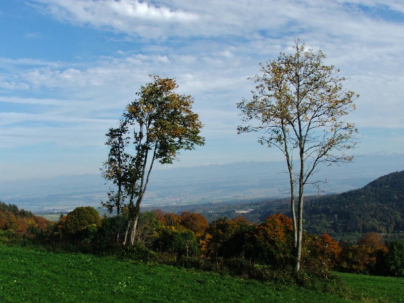 DSCF4751.jpg - Blick hinunter in die Ebene von Orbe