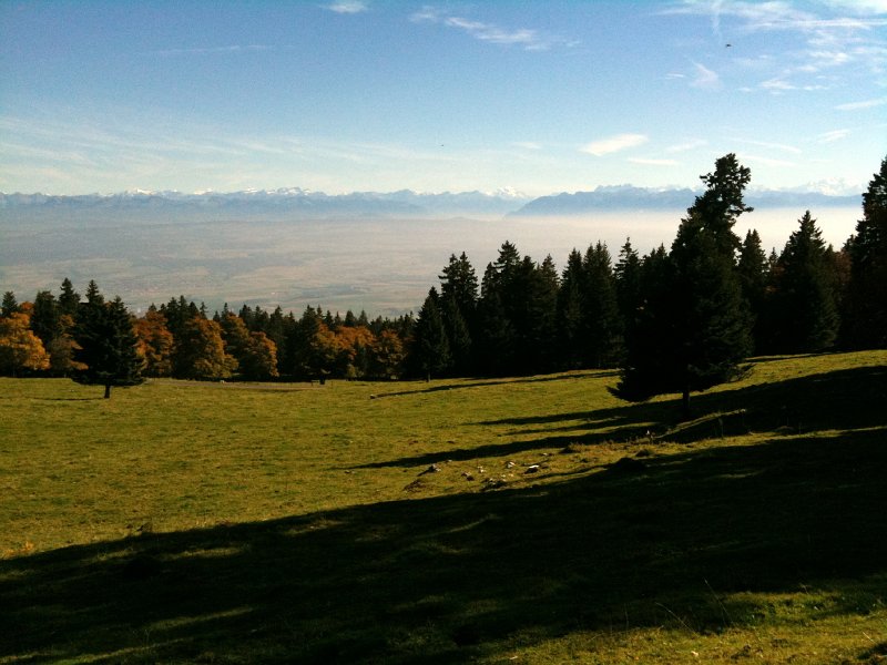 IMG_0024.jpg - Alpenpanorama unterhalb des Suchet