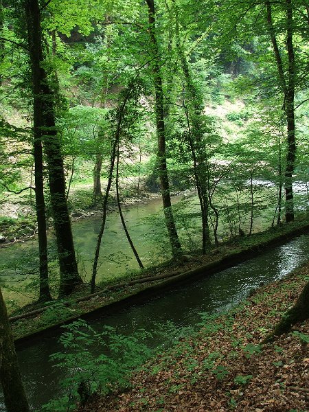 DSCF4173.jpg - Taubenlochschlucht