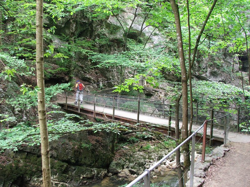 DSCF4179.jpg - Taubenlochschlucht