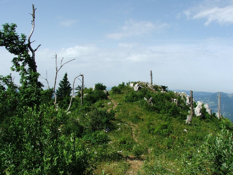 DSCF4298.jpg