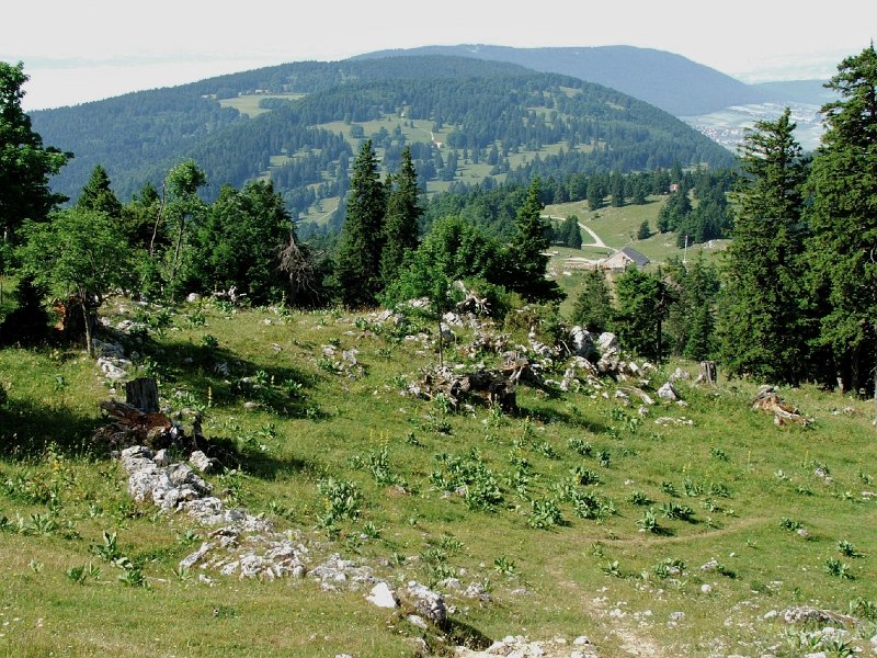 DSCF4301.jpg - M�tairie de l'Isle
