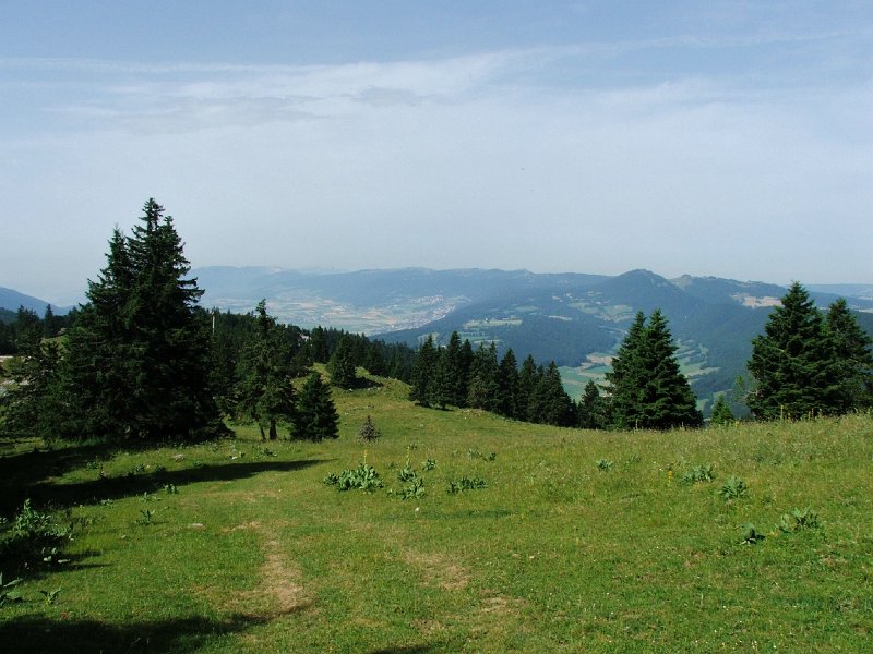 DSCF4303.jpg