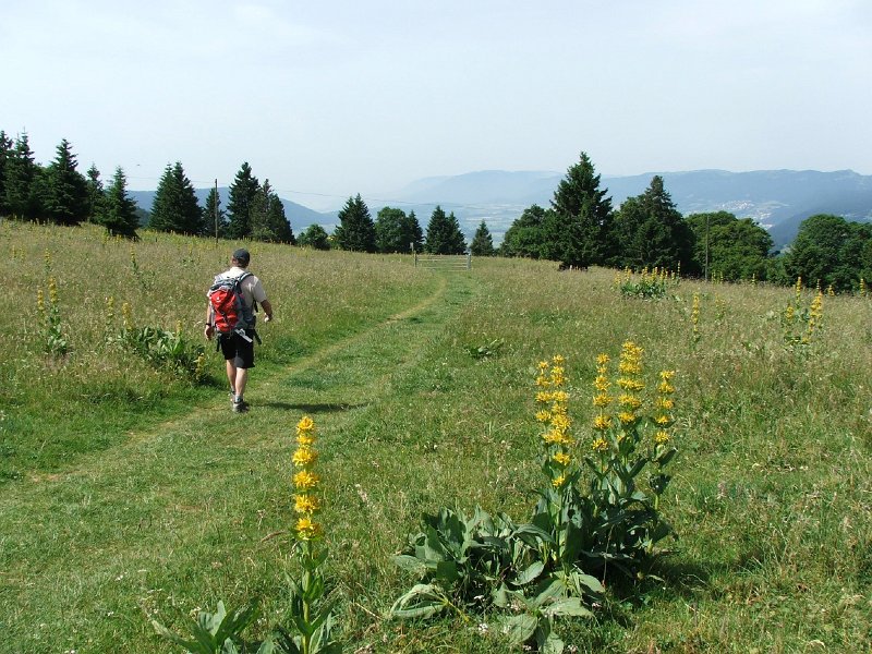 DSCF4309.jpg - Oberhalb der M�tairie d'Aarberg