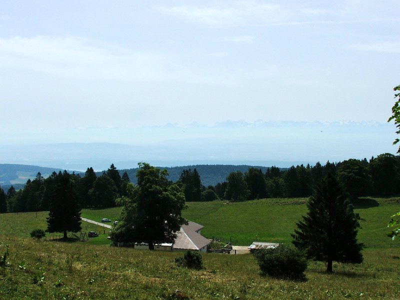 DSCF4311.jpg - Gasthaus Chuffort