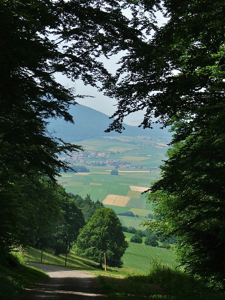 DSCF4316.jpg - Oberhalb von Cl�mesin: Im Hintergrund Savagnier