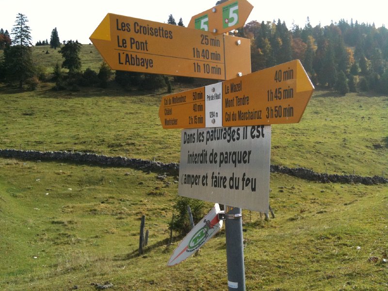 IMG_0051.jpg - Pr� de l'Haut (zwischen Les Croisettes und  Mont Tendre)