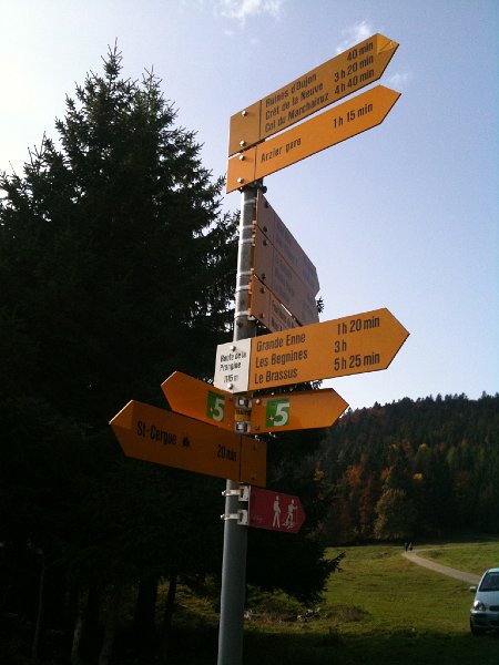 IMG_0100.jpg - Oberhalb Saint-Cergue (Route de Prangine)
