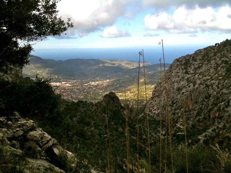 IMG_0301.JPG - Blick hinunter nach Soller