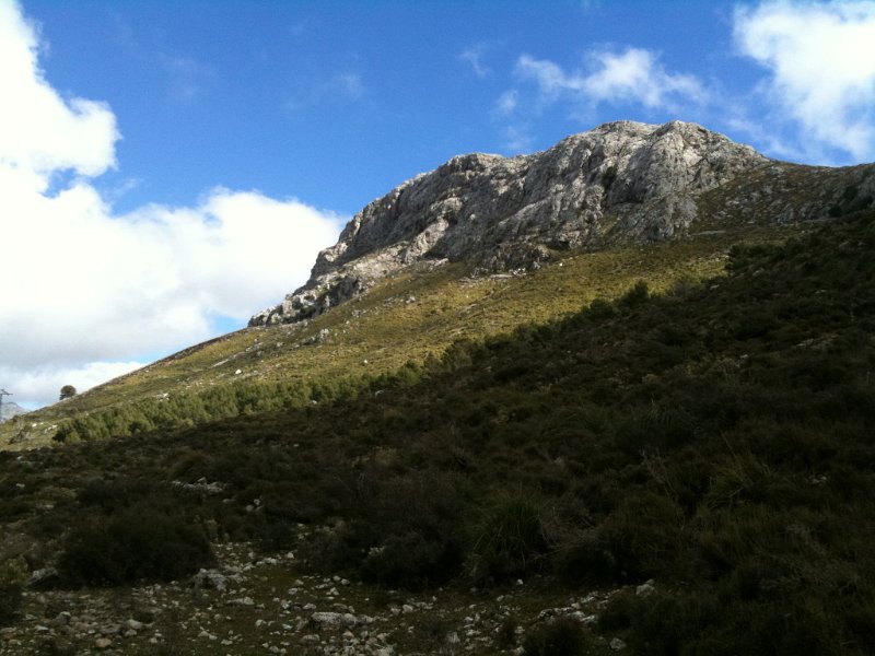 IMG_0320.JPG - Puig de l'Ofre