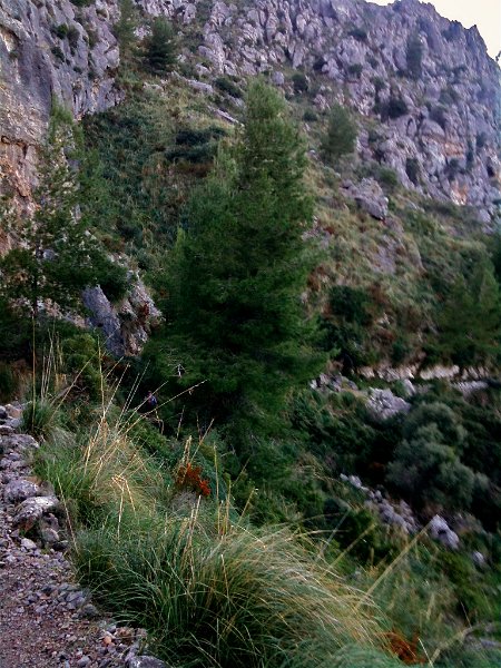 IMG_0217.jpg - Ca Costera