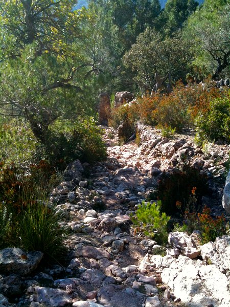 IMG_0221.jpg - Coll de Biniamar