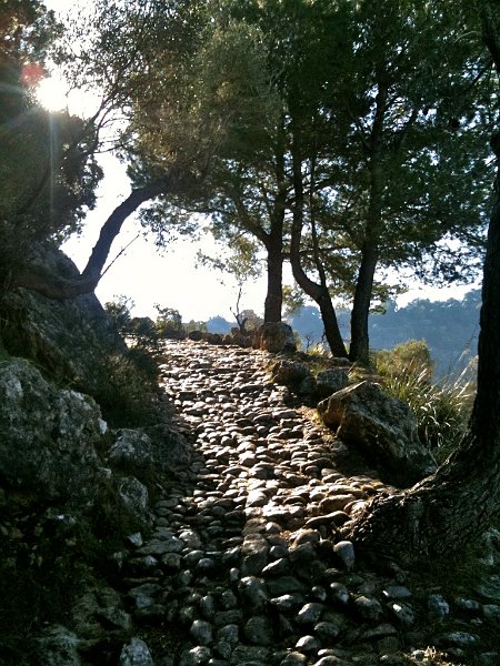 IMG_0229.jpg - Aufstieg nach Mirador de Ses Barques