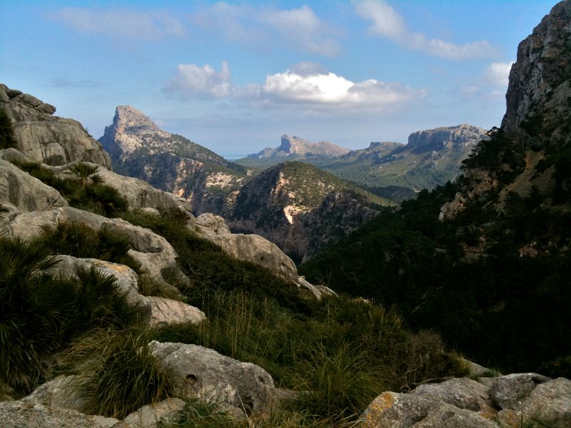 IMG_0248.JPG - Cap Formentor