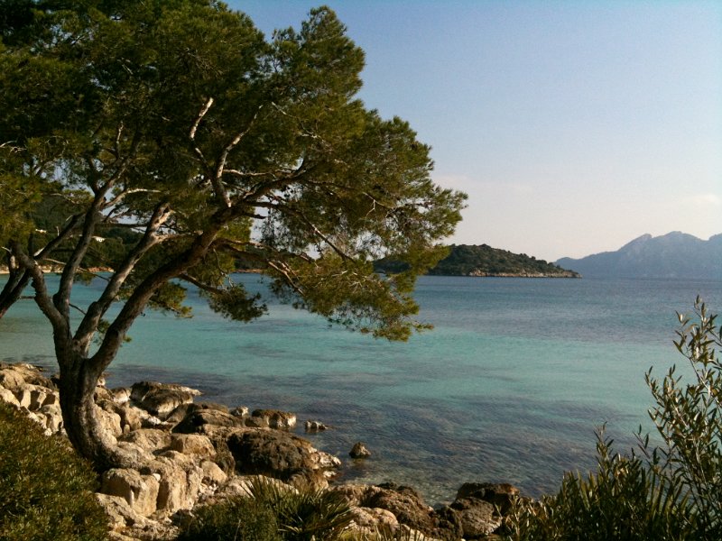 IMG_0252.JPG - Formentor