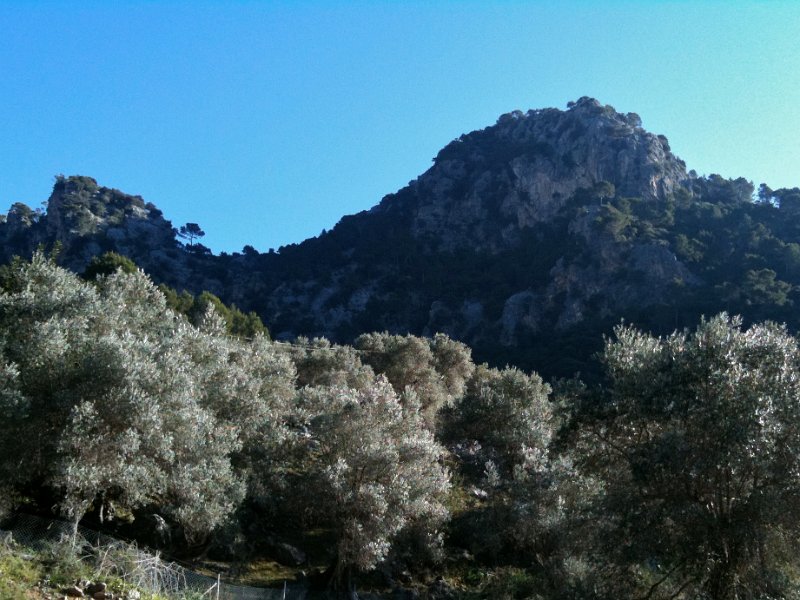 IMG_0236.JPG - Soller-Pass