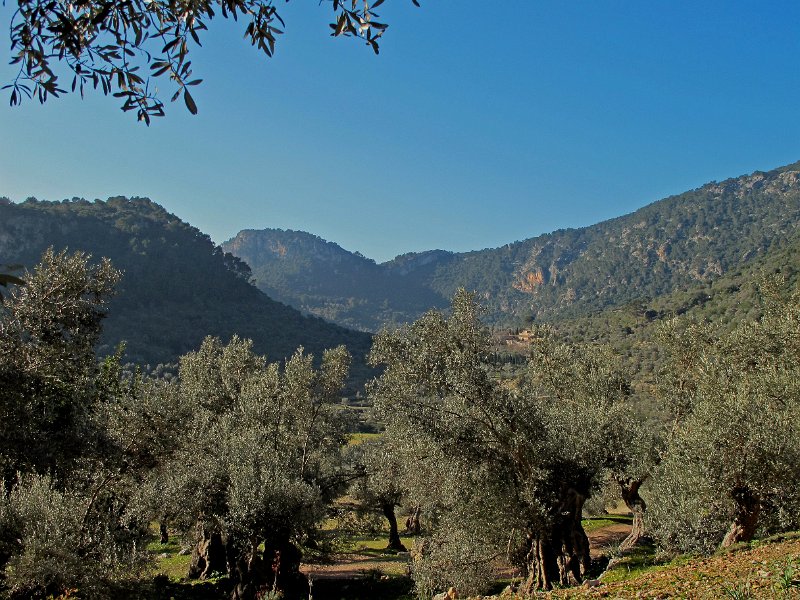 IMG_1821.jpg - Soller-Pass