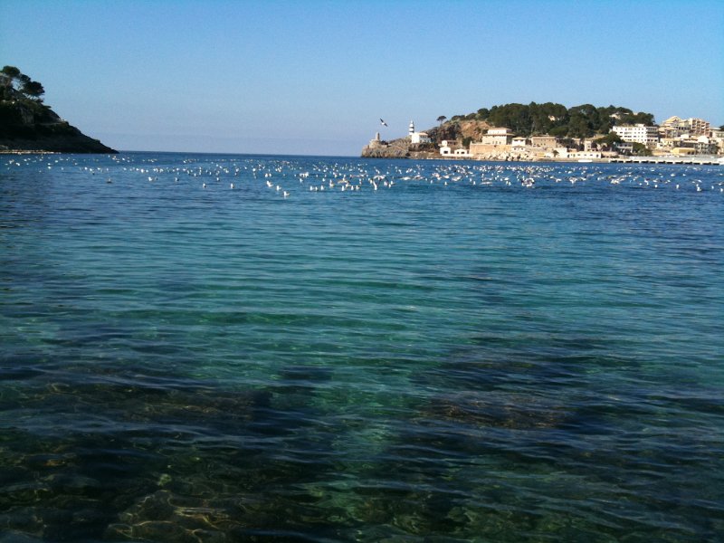 IMG_0182.JPG - Platja d'En Repic
