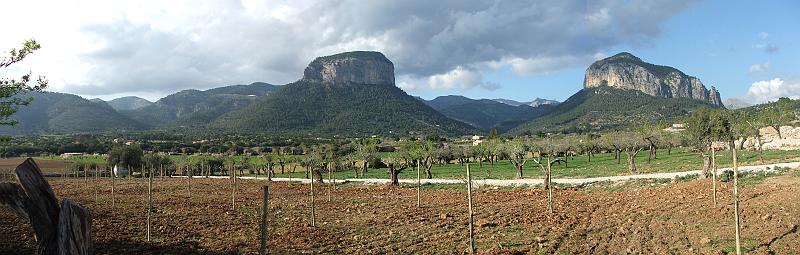 DSCF0136panorama.jpg - Puig Alaro und Puig de s'Alcadena