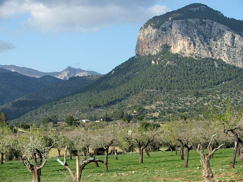 DSCF0138.jpg - Puig de s'Alcadena