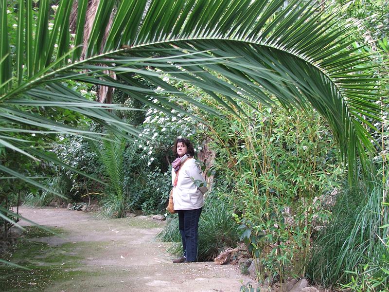 DSCF0307.jpg - Jardines de Alfabia