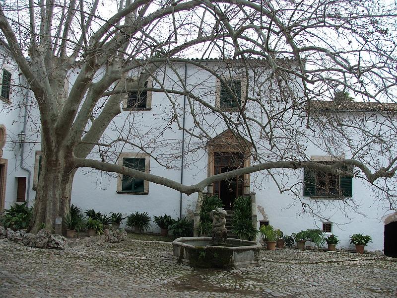 DSCF0310.jpg - Kastanienbaum im Innenhof der Jardines de Alfabia