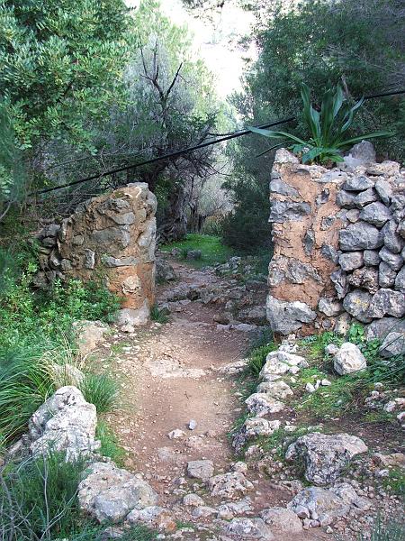 DSCF0101.JPG - Cala Tuent: Aufstieg zum Coll de na Polla