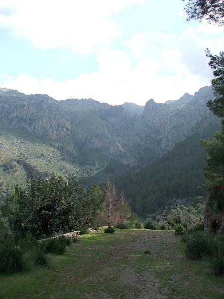 DSCF0109b.jpg - Talgrund oberhalb von Cala Tuent