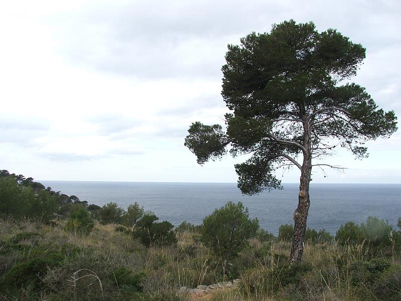 DSCF0174.jpg - Cap Gros