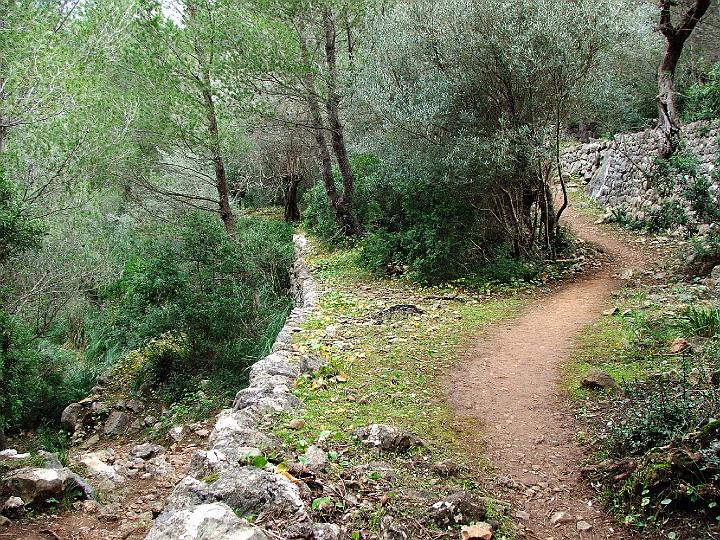DSCF1898b.jpg - Neuer Wanderweg vom Hafen hinein nach Soll�r �ber den Coll d'en Borrass�