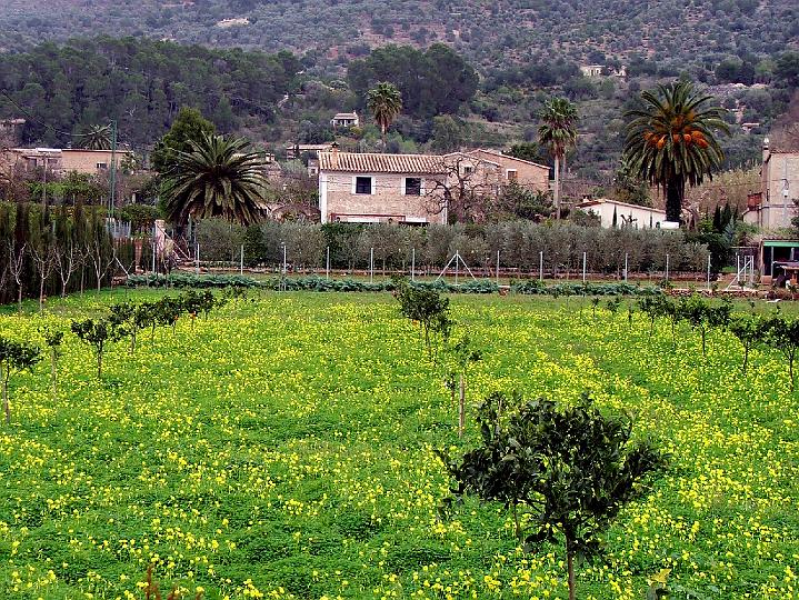 DSCF1909b.jpg - Bei S'Horta (Soll�r)