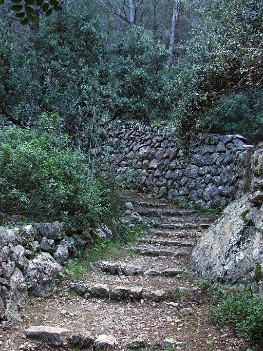 DSCF1920b.jpg - Auf dem Cami de Castello (Dei� - Soll�r)