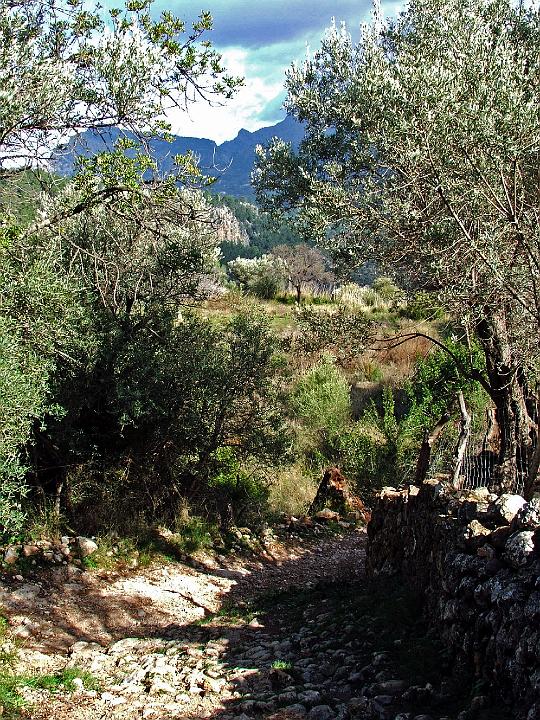 DSCF1937b.jpg - Auf dem Cami de Castello (Dei� - Soll�r)