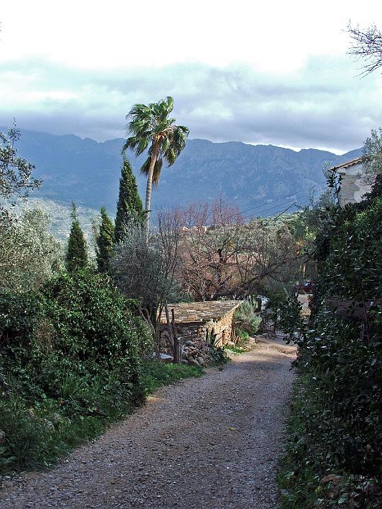 DSCF1942b.jpg - Auf dem Cami de Castello (Dei� - Soll�r): Son Mico