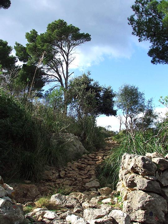 DSCF1960b.jpg - In Richtung Refugi Muleta (Cap Gros)