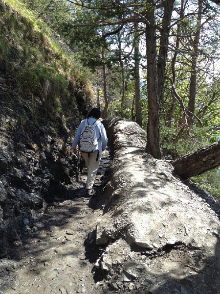 IMG_1214.jpg - Im alten Wasserlauf