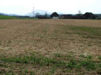 DSCF0393b.jpg (527459 Byte)